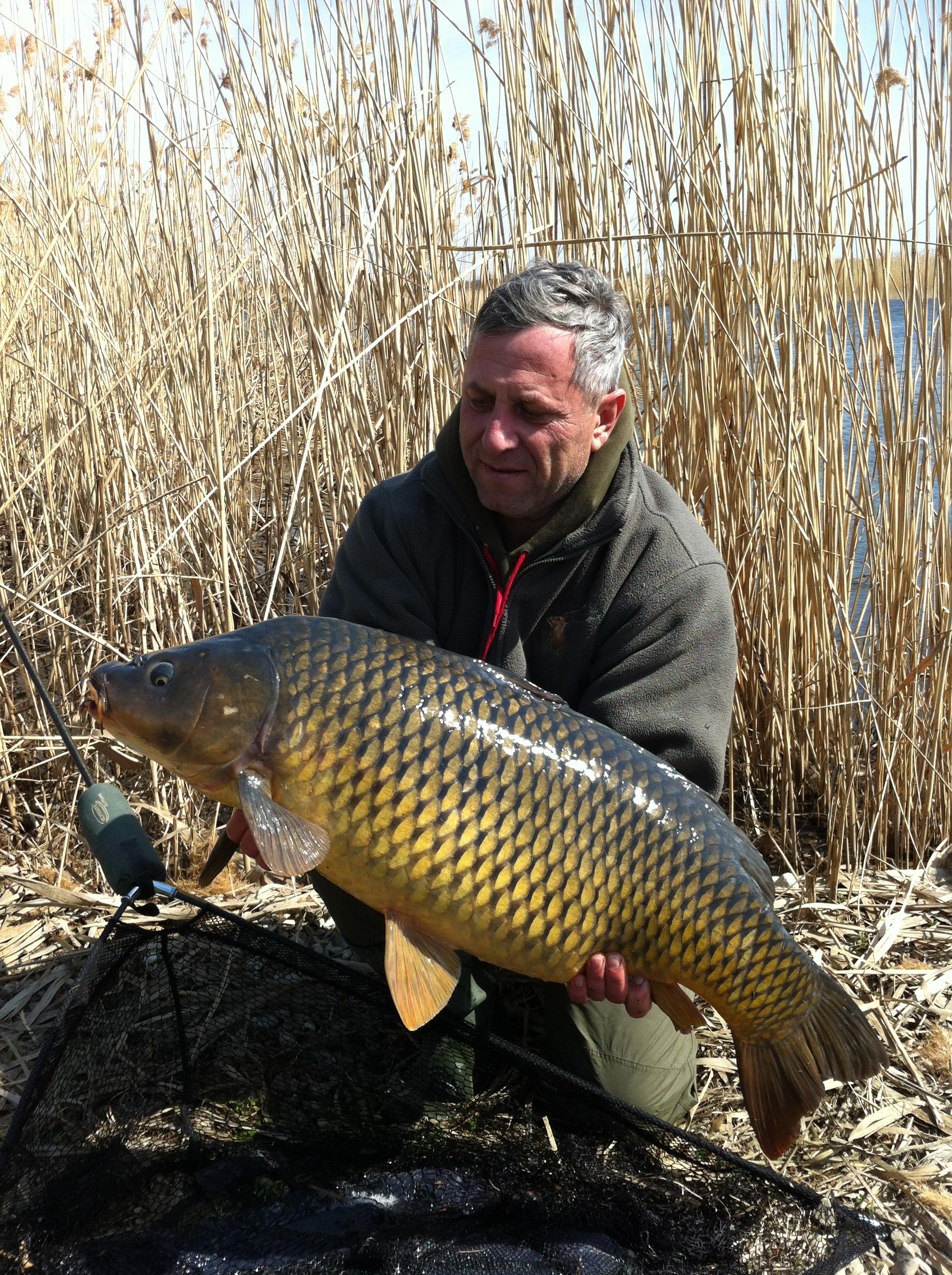 Tancabesti 2012 - aprilie 2012 010.JPG